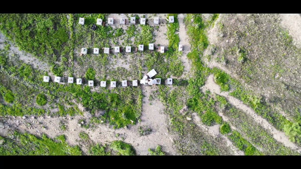 Jordan From Above, 2
